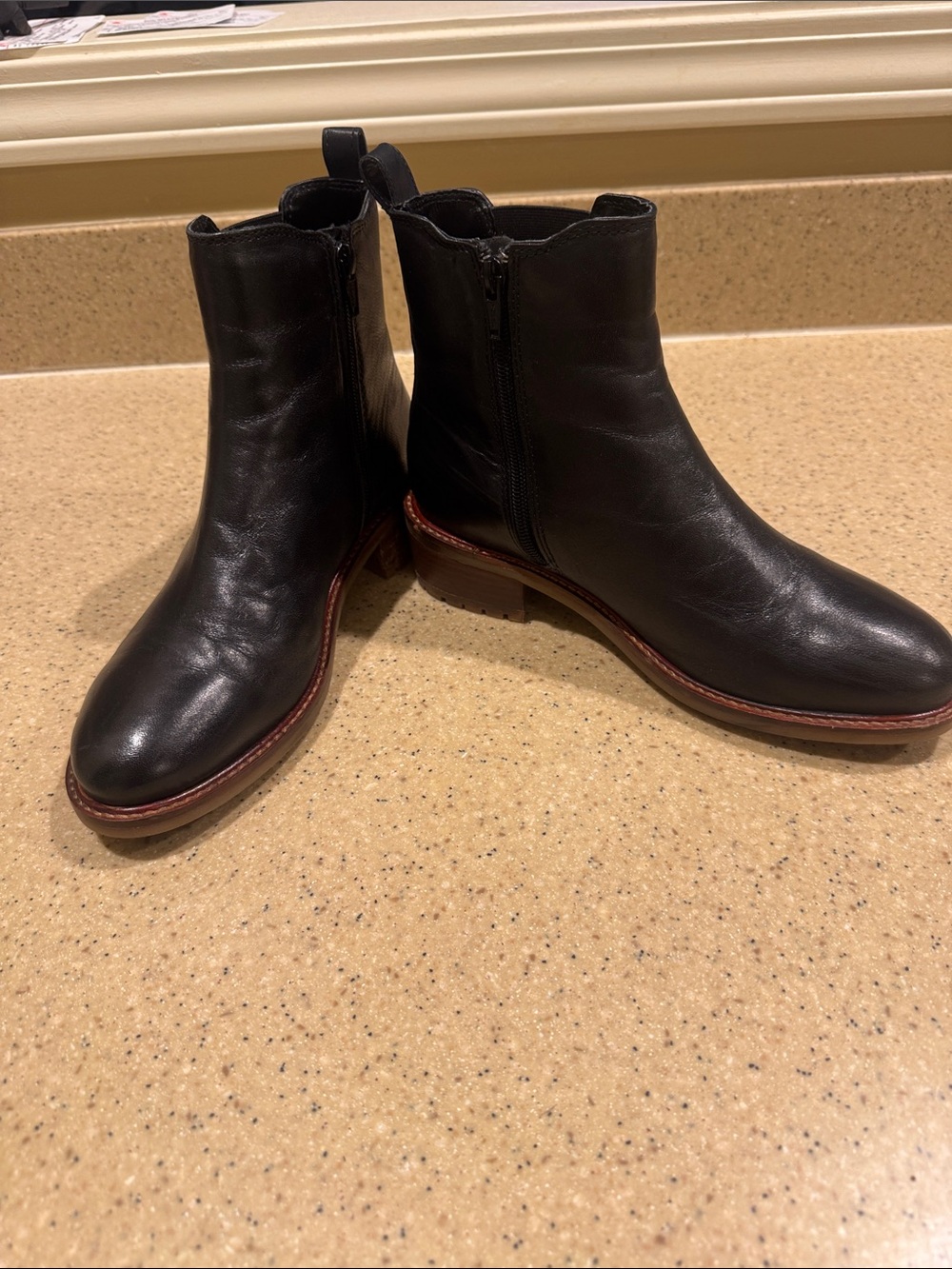 Joie Black Leather Ankle Boots with Brown Trim